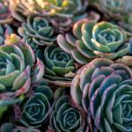 安信13娱乐:探索全新线上娱乐平台的无限魅力 a30f74o6b