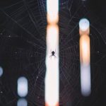 如何顺利完成亚新体育app下载,畅享精彩赛事直播体验 bteg44k