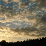 如何顺利完成杏耀平台注册步骤,轻松开启你的游戏之旅 ds44a81