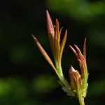 如何顺利访问超凡贵宾会官网登录首页入口的详细指南 q622rzsx2