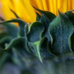 富联娱乐如何引领年轻人追逐梦想与激情 r4qid7mb