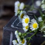 如何通过问鼎平台app提升你的商业竞争力? u0orrucv