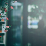 24足球直播免费观看,精彩赛事不容错过! eql1rqy