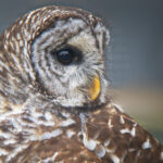 257777开奖结果最新公布,速看中奖号码详情 gwat8rlam