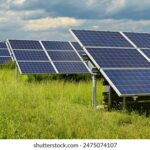 258kj开奖结果最新公布,今日开奖号码抢先看 osbwkqr