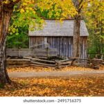 255开奖前后出现的惊人规律与结果分析 shfj3