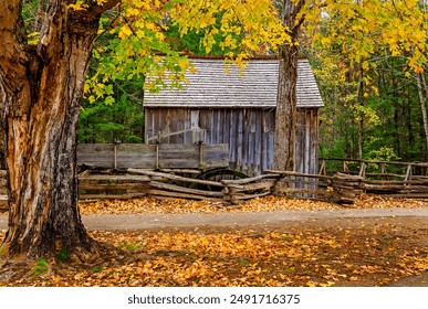 255开奖前后出现的惊人规律与结果分析 255开奖前后出现的惊人规律与结果分析